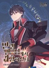 The Max Level Hero has Returned!