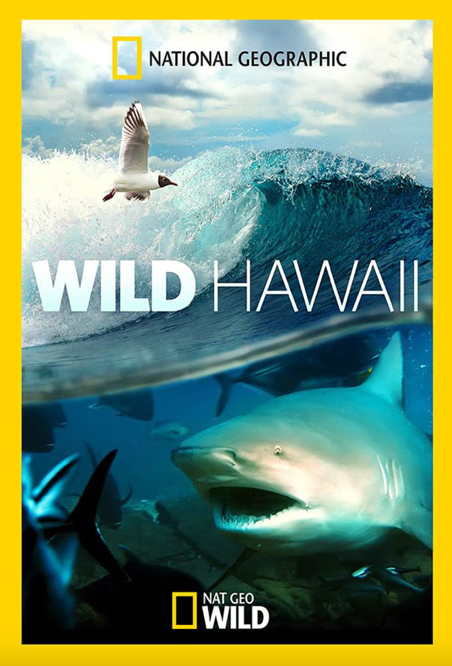 Wild Hawaii Cover