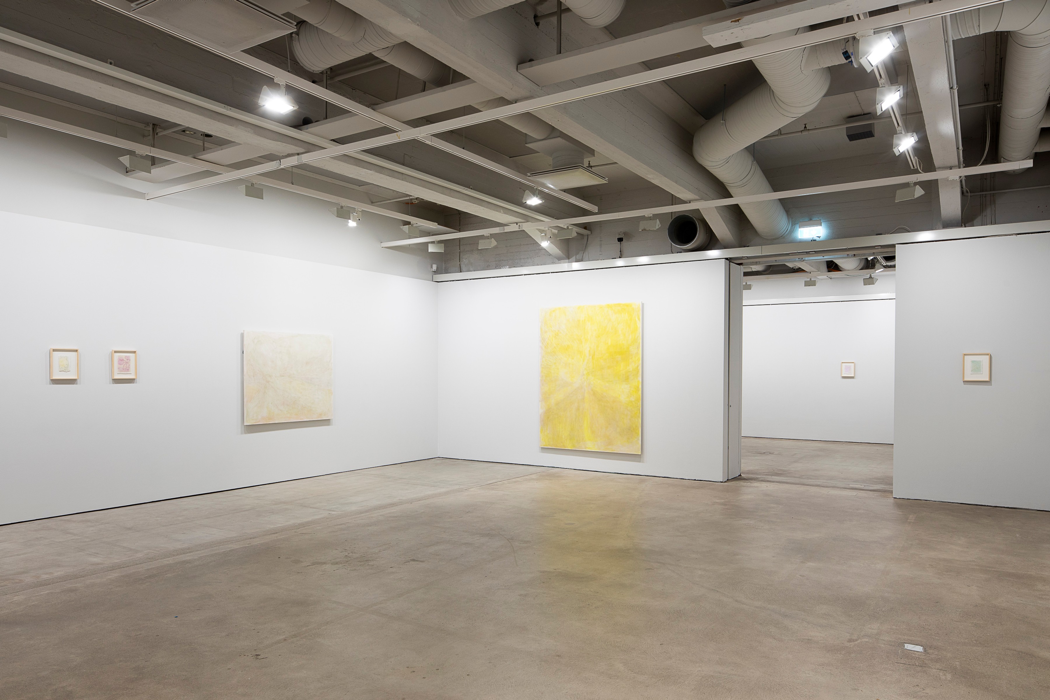 Installation view, Swirls, Milla Aska