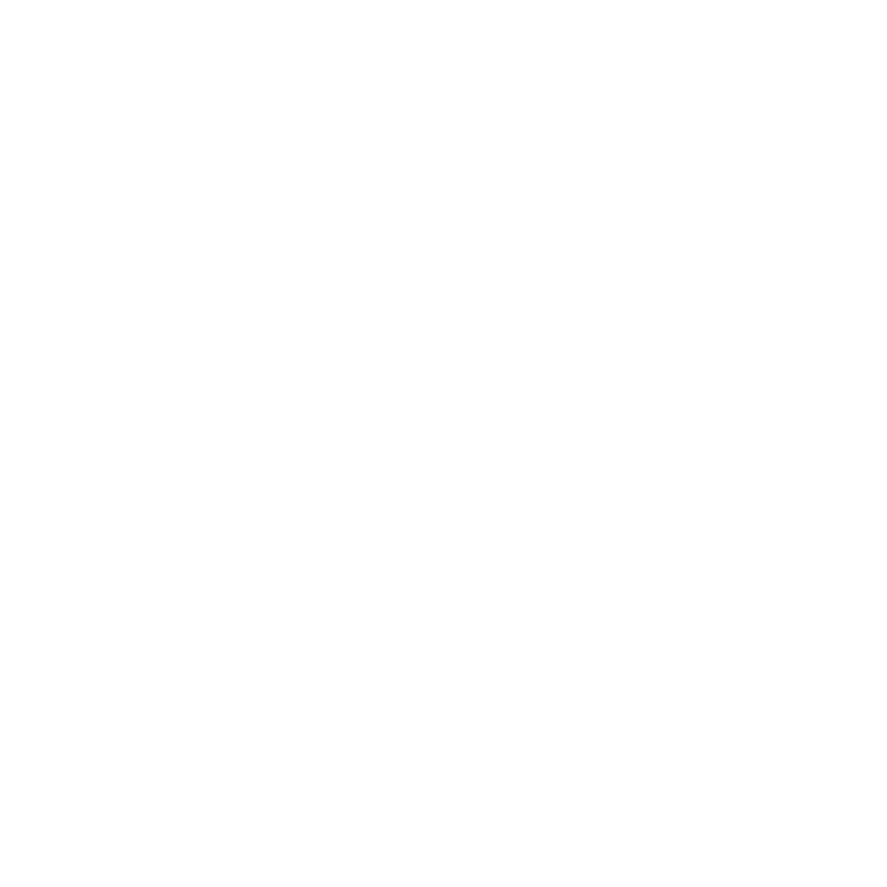 Riesewijk-Tweewielers logo
