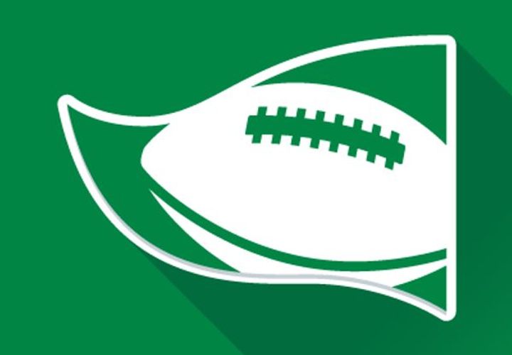 Pro Football Reference logo or preview