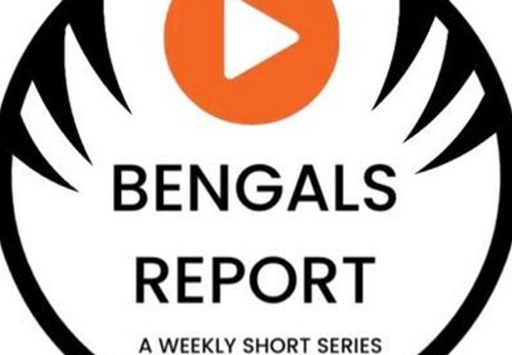 The Bengals Report logo or preview