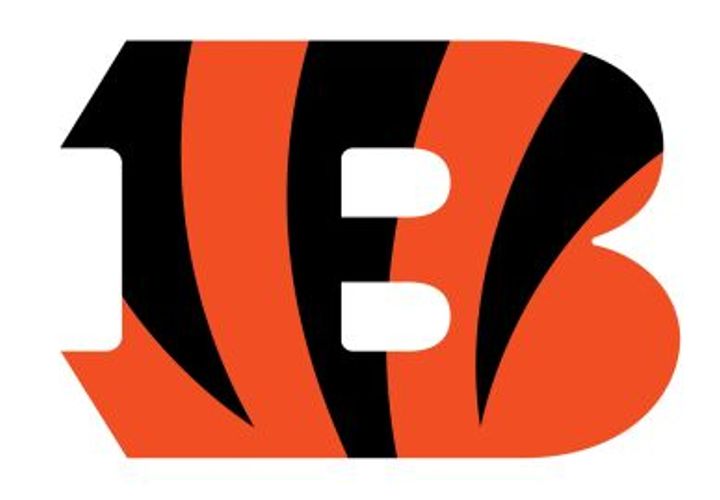 Cincinnati Bengals logo or preview