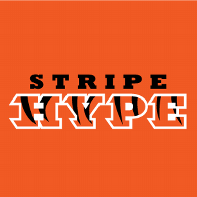 Stripe Hype logo or preview