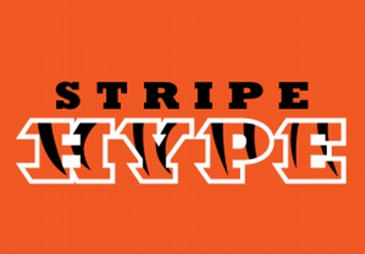 Stripe Hype logo or preview