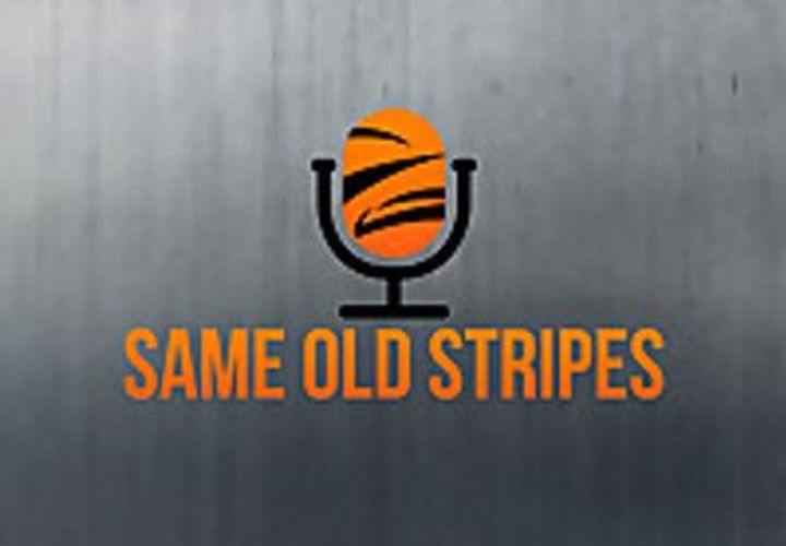 Same Old Stripes logo or preview