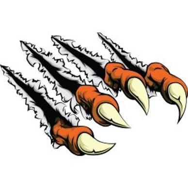 The Bengals Wire logo or preview