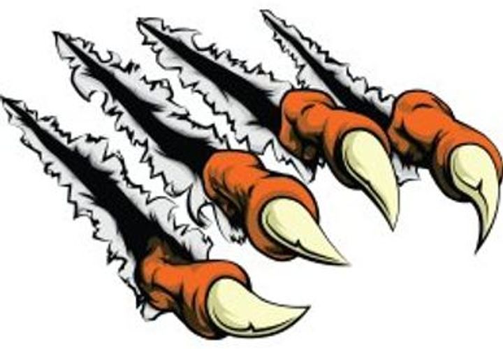 The Bengals Wire logo or preview