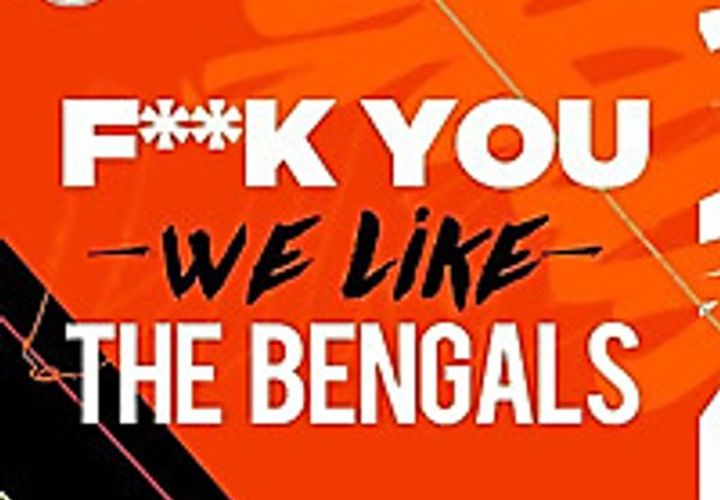 F*ck You. We Like the Bengals logo or preview