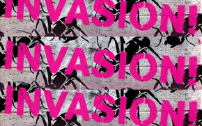 Invasion