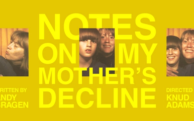 Notes On My Mother's Decline