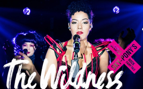 The Wildness: Sky Pony's Rock Fairy Tale