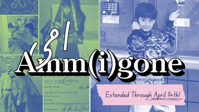 Ammigone Artwork with extended dates March 13 - April 14th at PlayCo