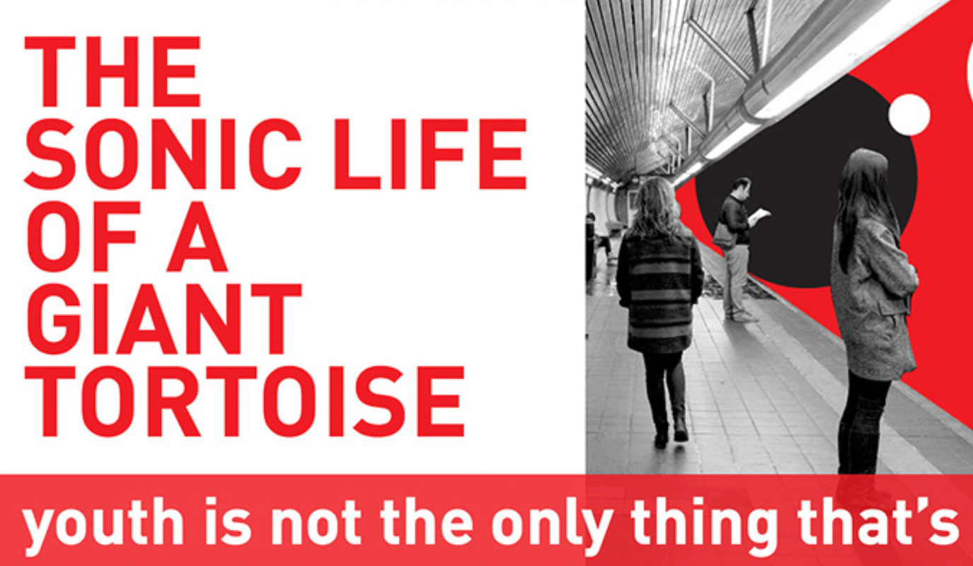 The Sonic Life Of A Giant Tortoise