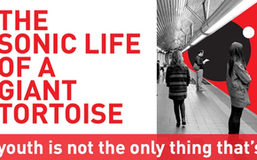 The Sonic Life Of A Giant Tortoise