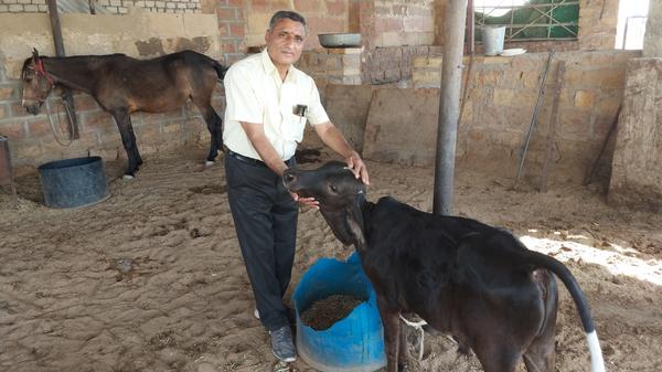 भागवत कथाओं के नाम पर उत्सवी धूमधड़ाके औचित्यहीन....