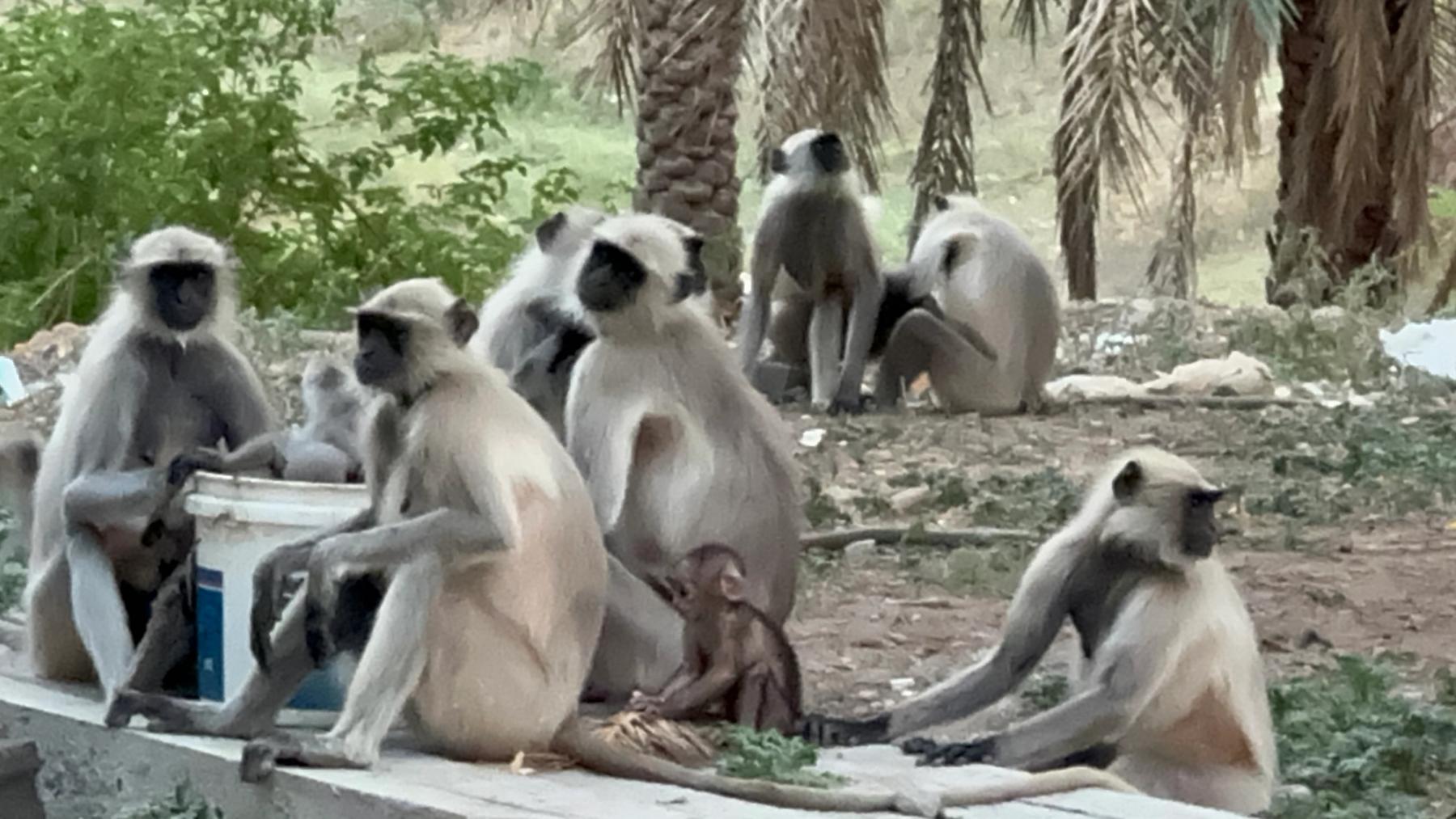 असहनीय है खबरों और तस्वीरों की भूख