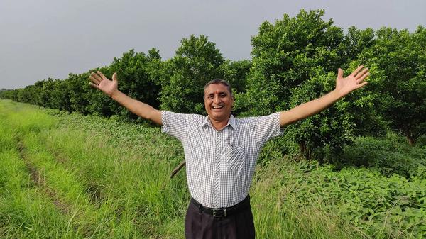 यों पाएं हरियाली का सुकून