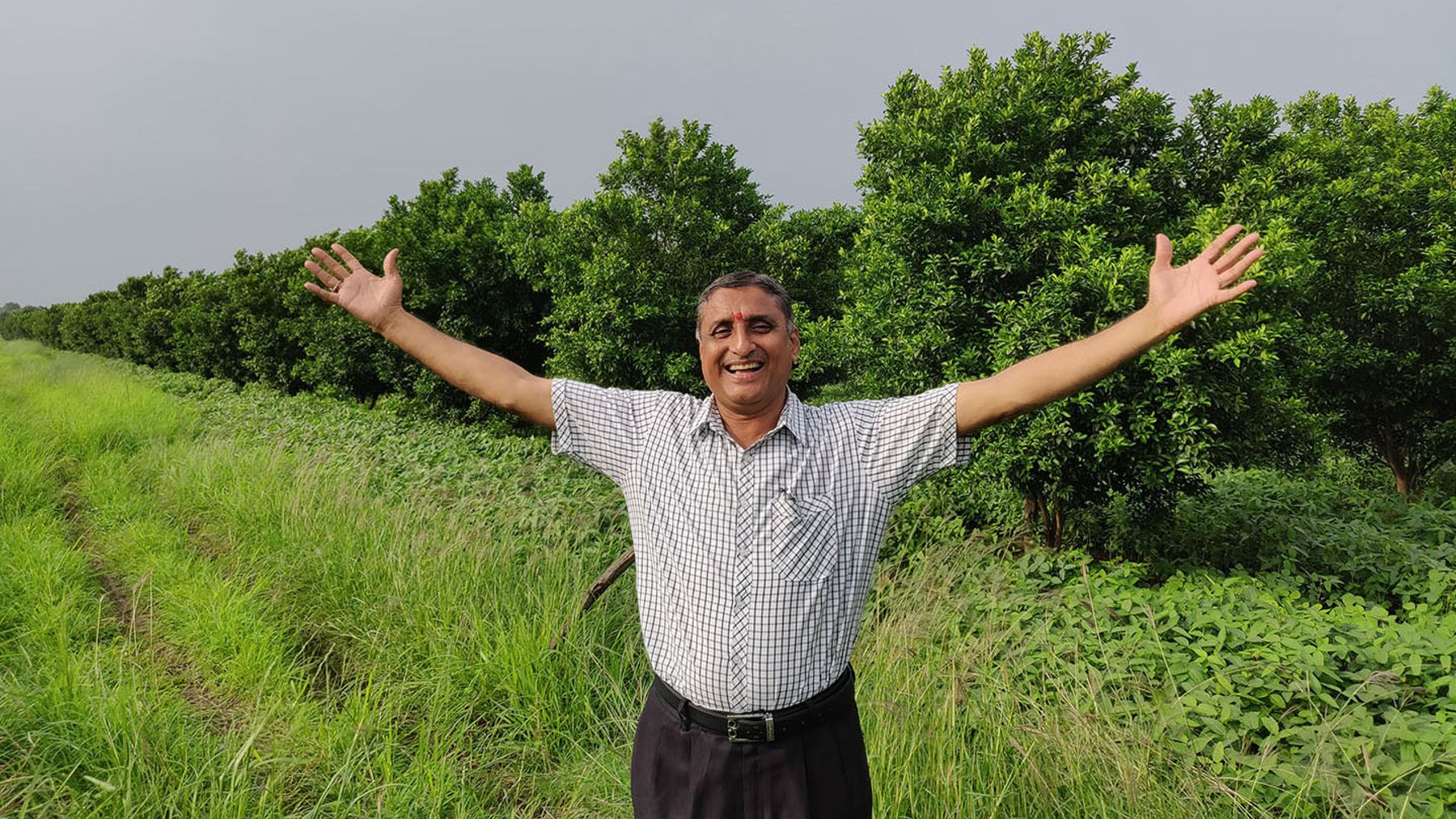 यों पाएं हरियाली का सुकून