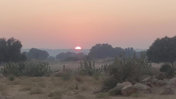 जीवन में आशातीत सफलता पाने सूर्य साधना अपनाएँ