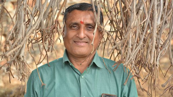 परवान पर है बुद्धिबेचकों का ताण्डव