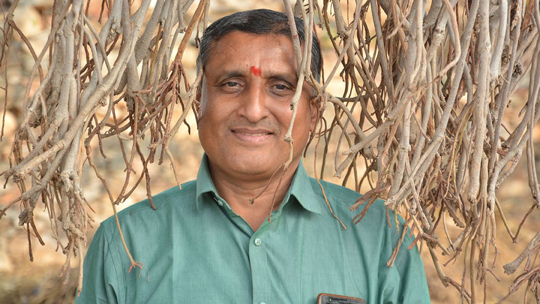 परवान पर है बुद्धिबेचकों का ताण्डव