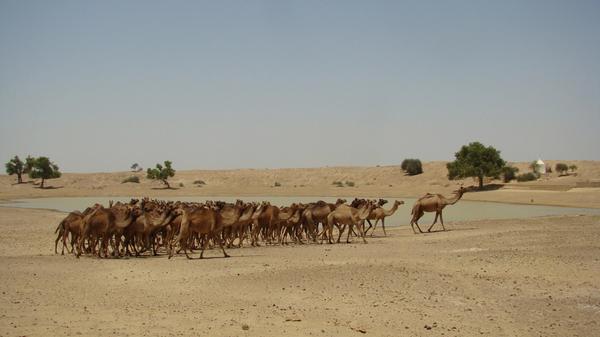अहसान मानें उनका जो उपस्थित थे,  उपस्थित रहे