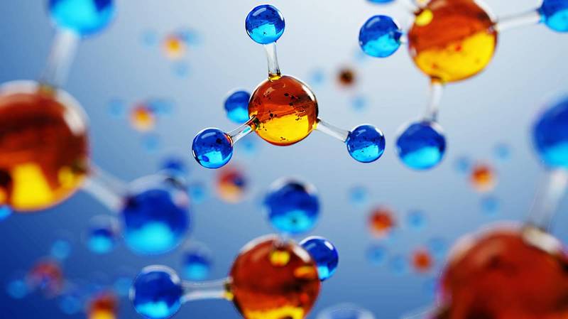 An Overview of What's Tested on the ACT Science Section