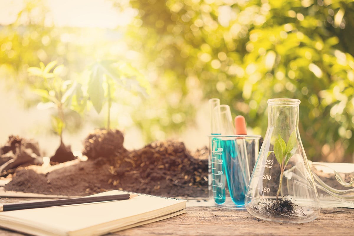 How To Get A STEM Scholarship