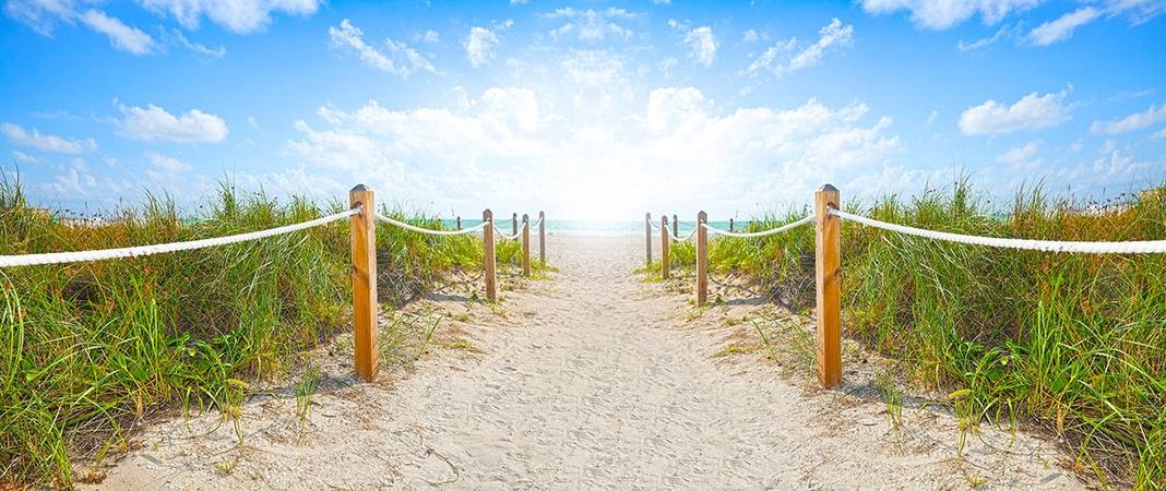 Why You Should Spend Your Summer Job Shadowing