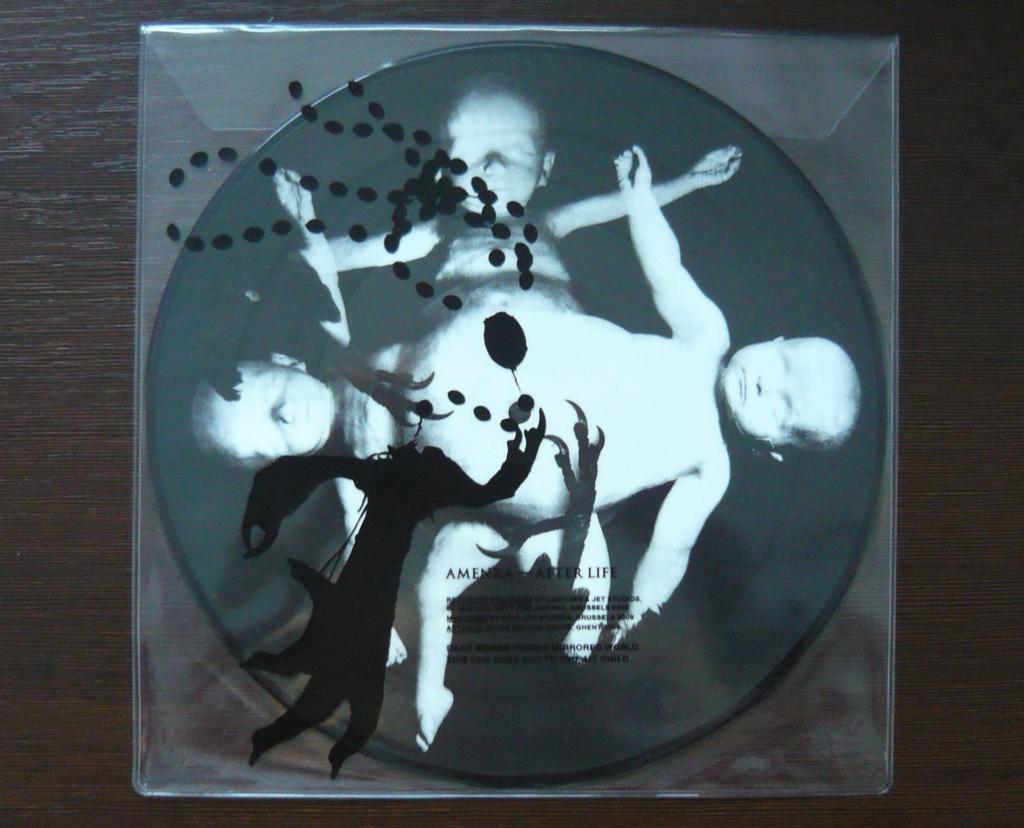 Cover art for Afterlife