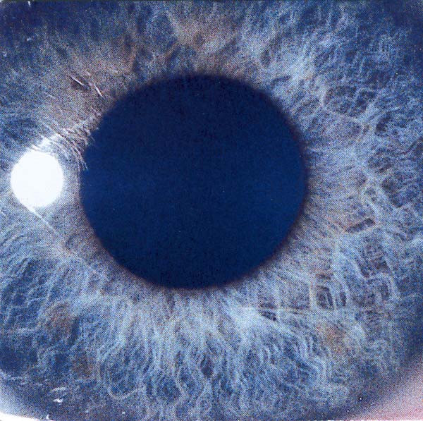 Cover art for Moontower