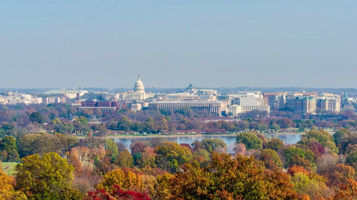 Washington UMG