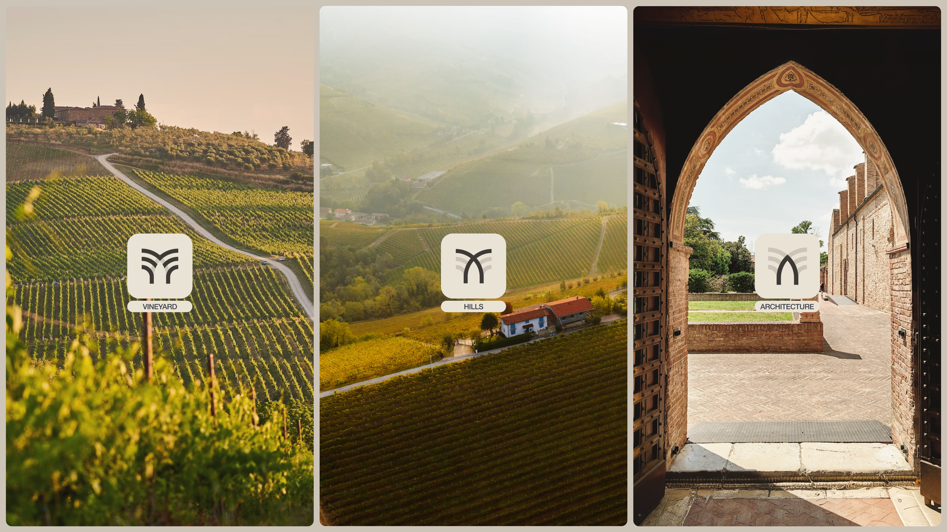 Mondini Studio monogram built from vineyard, hills and arch pictograms