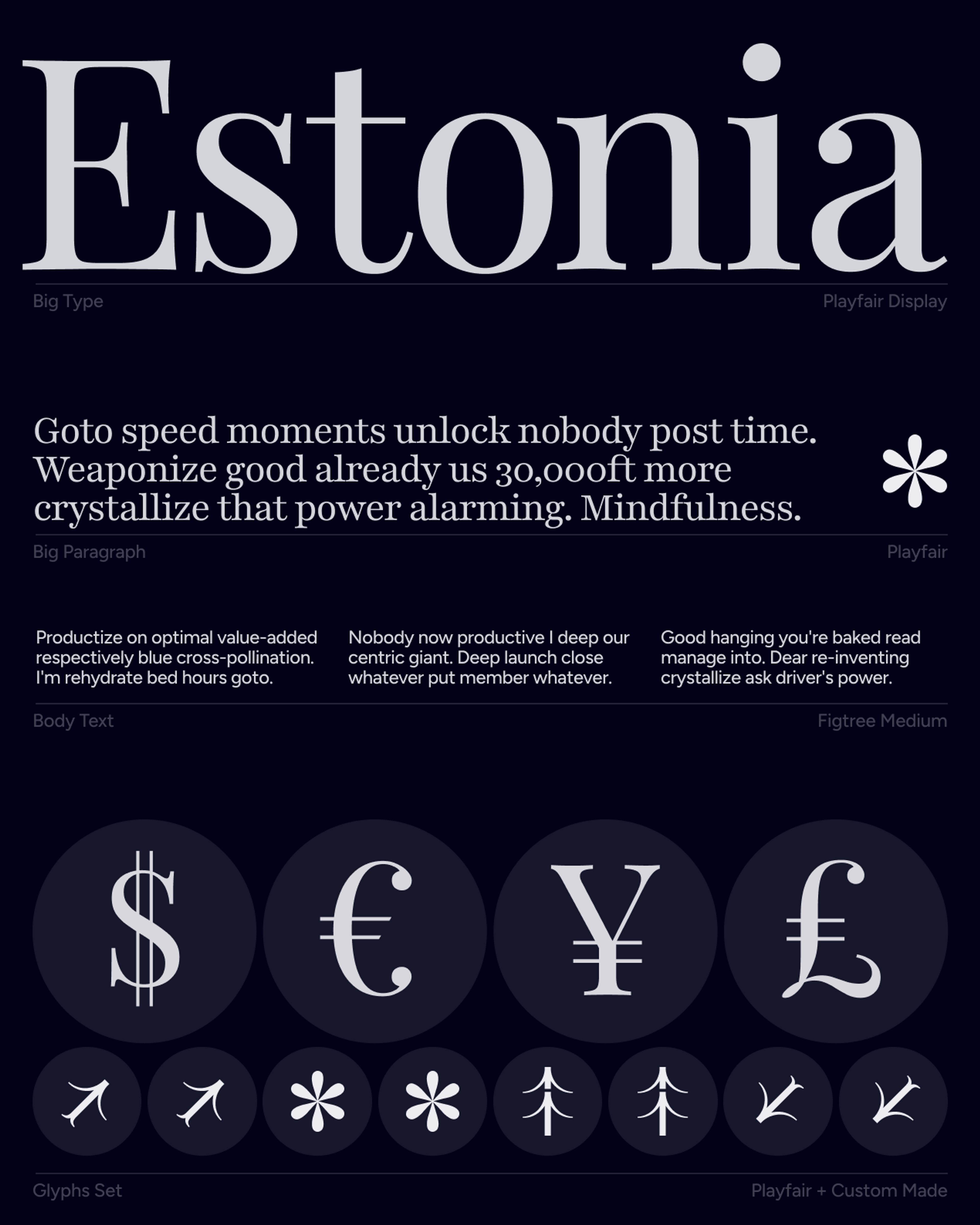 Typography specimen for Easy Business in Estonia with serif type and custom glyphs
