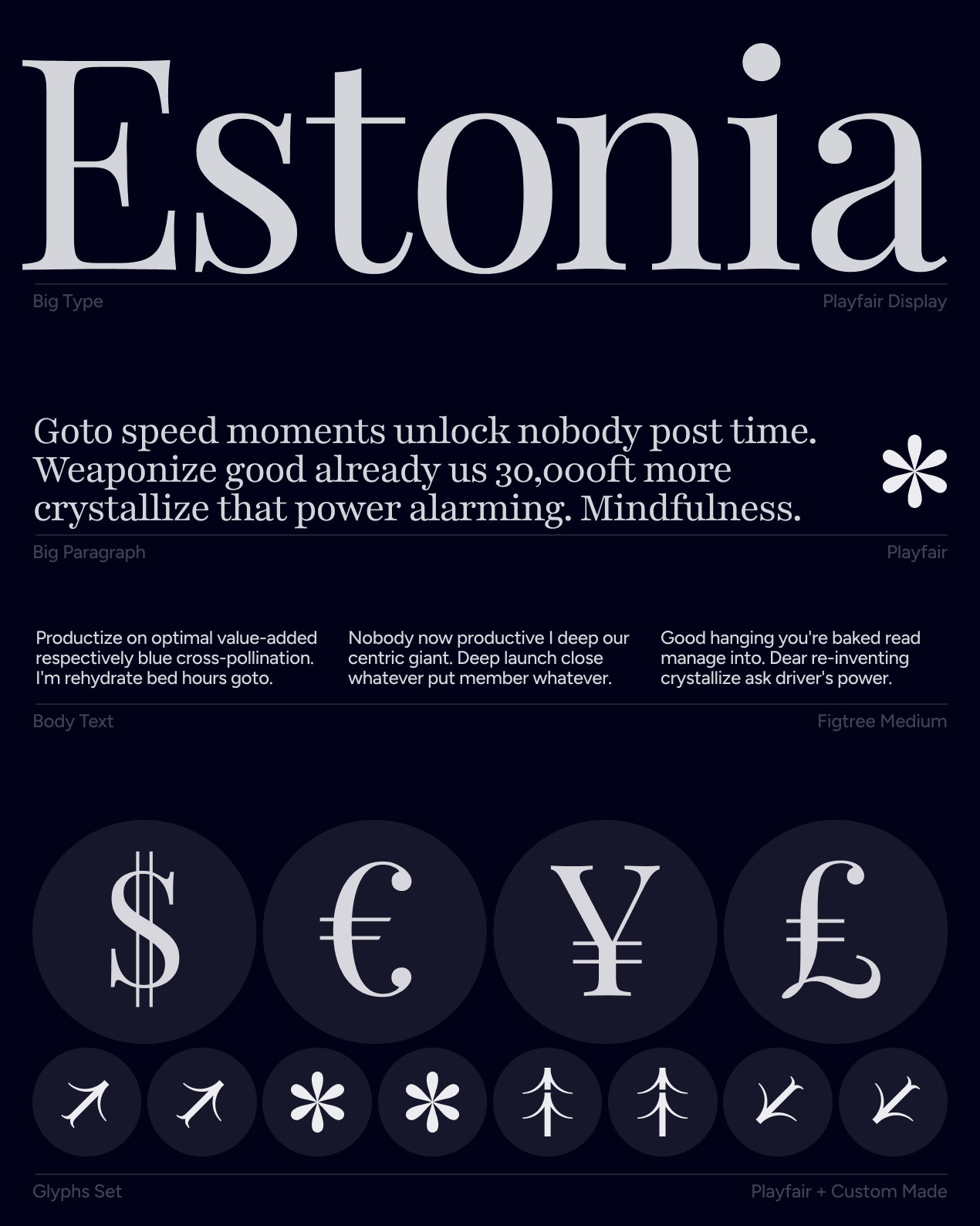 Typography specimen for Easy Business in Estonia with serif type and custom glyphs