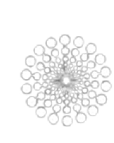 Company's logo