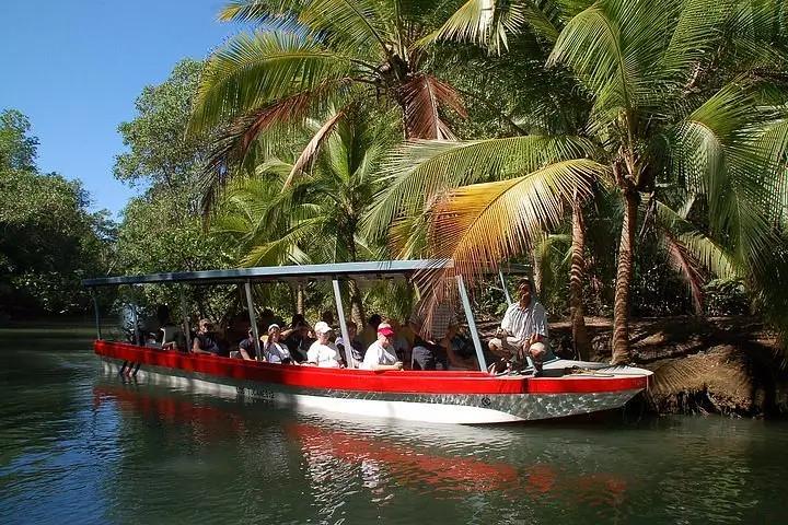 Boat navigating through mangrove tunnels with wildlife and calm waterways near Manuel Antonio, Costa Rica.