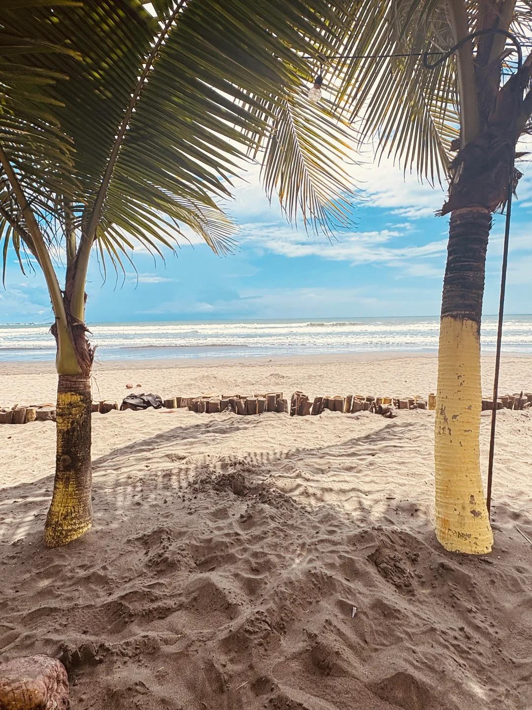 Jaco Beach Tours & Excursions