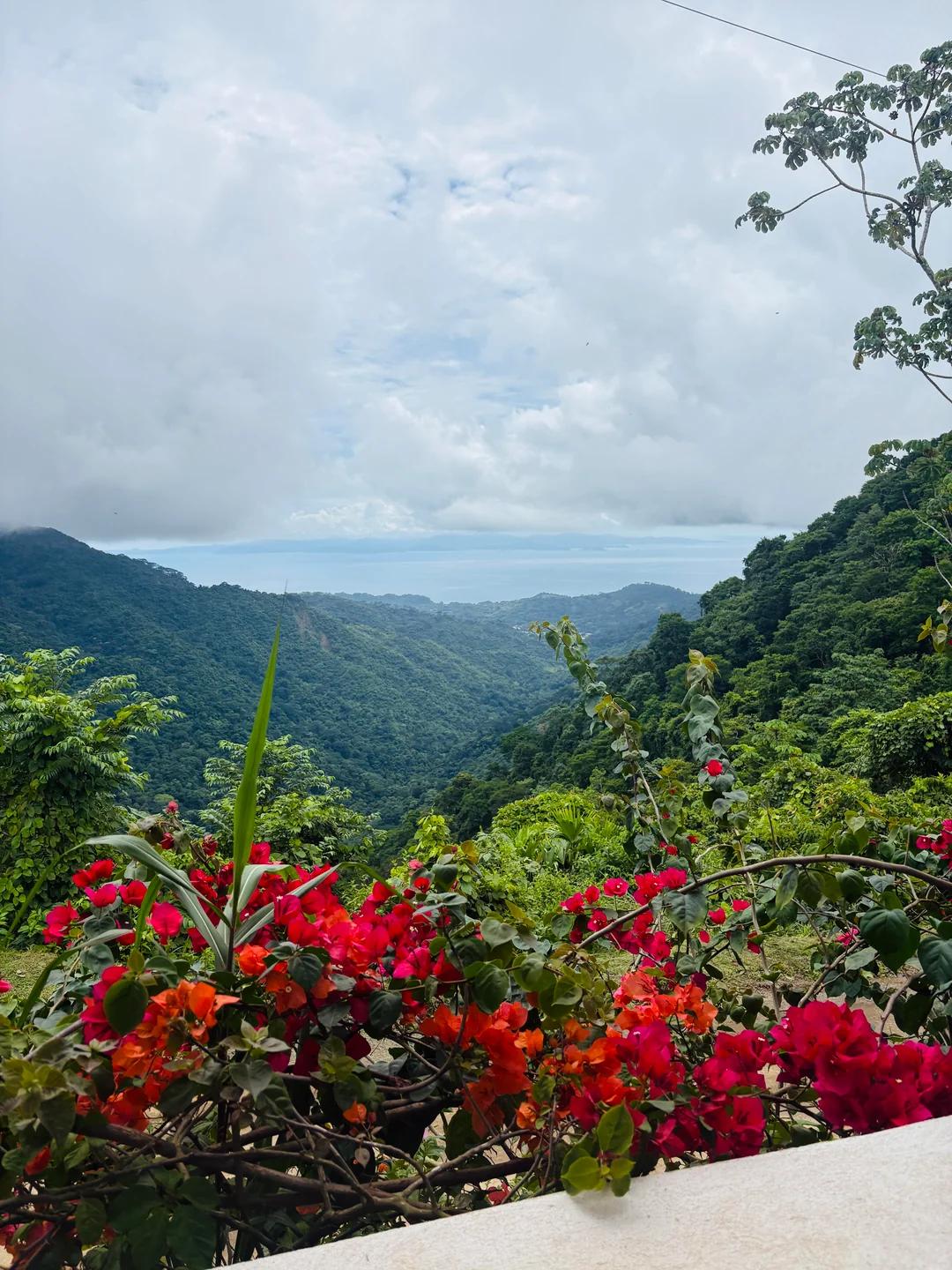 Jaco Beach Tours & Excursions