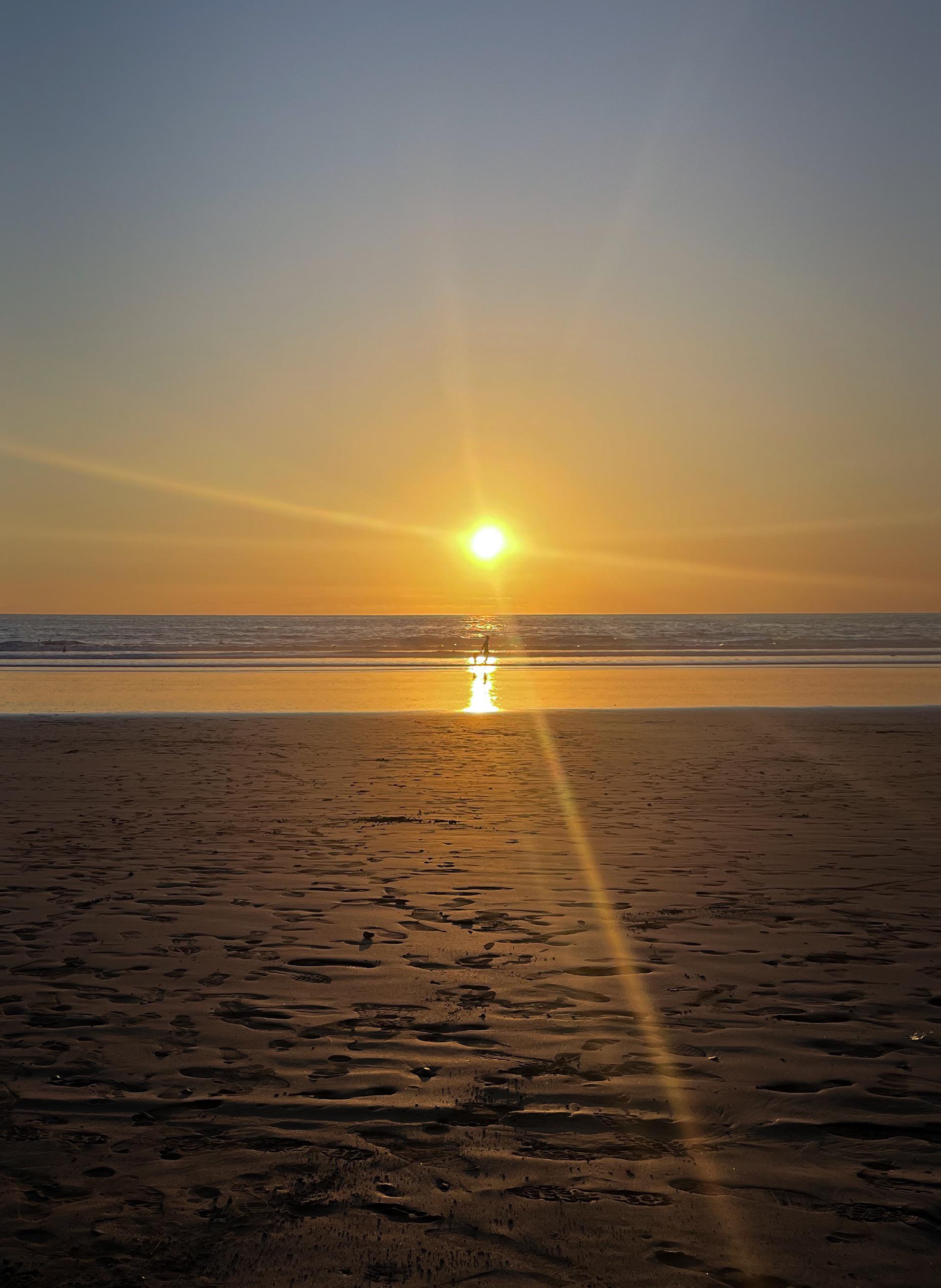Jaco Beach Tours & Excursions