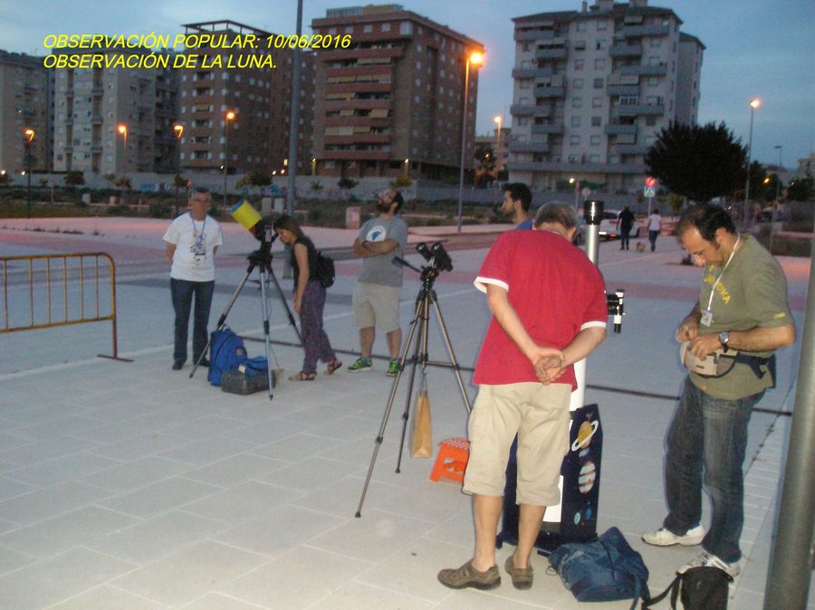 Fotografía de la actividad: Observación popular en los jardines del Sector 9. (7)