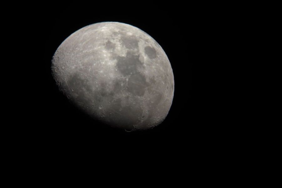 Fotografía de la actividad: Una cena bajo las estrellas en la Casa Colorá de Elda (32)