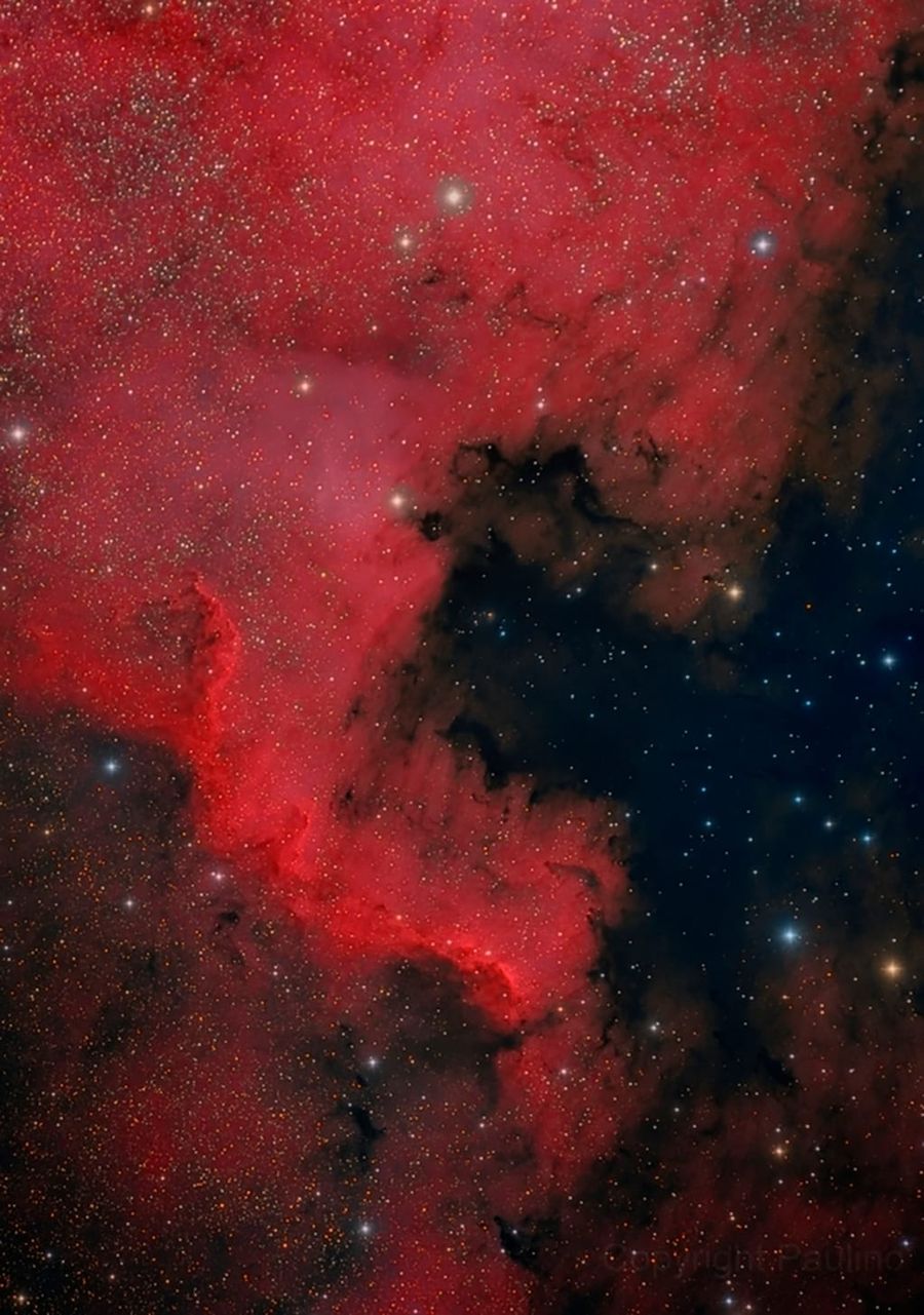 Nebulosa Norteamérica: NGC7000