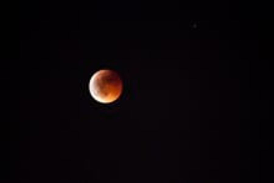 Fotografía de la actividad: Observación del Eclipse total de Luna del 15 de Junio de 2011 (11)