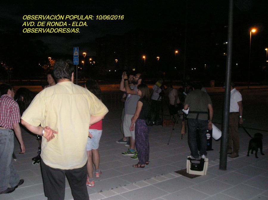 Fotografía de la actividad: Observación popular en los jardines del Sector 9. (6)