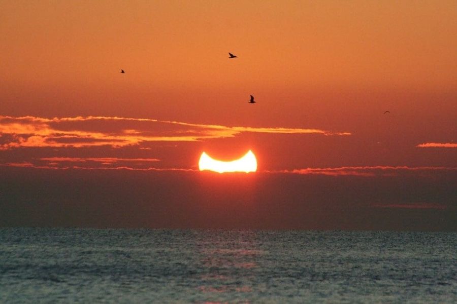 Fotografía de la actividad: Eclipse Solar parcial del día 4 de enero (6)