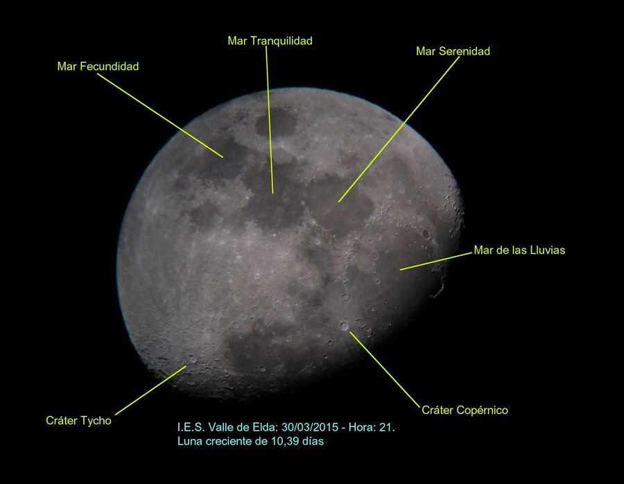 Fotografía de la actividad: I.E.S. VALLE DE ELDA (5)