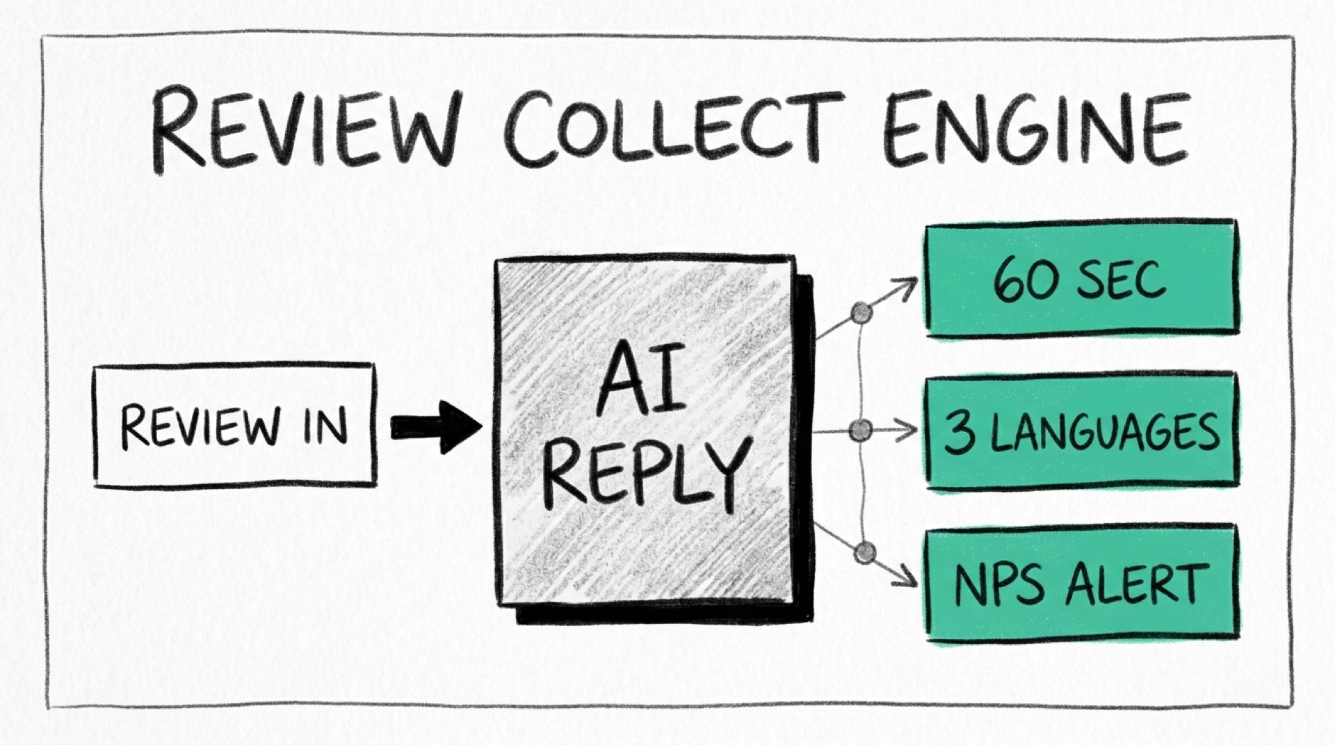 Comment Review Collect automatise les réponses et les alertes NPS Illustration crayon 6B d'un bloc central gris intitulé AI Reply relié par des flèches vers trois rectangles menthe — 60 Sec, 3 Languages, NPS Alert — un rectangle blanc Review In à gauche alimente le bloc central par une flèche