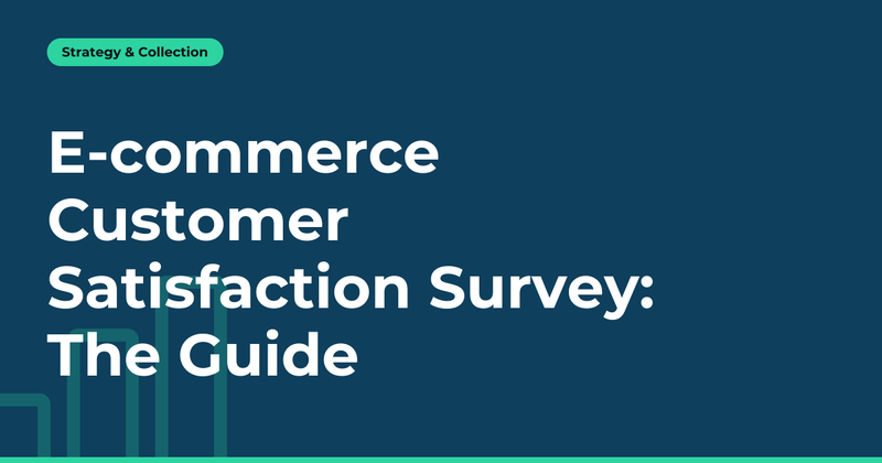 E-commerce Customer Satisfaction: The Survey That Drives Action